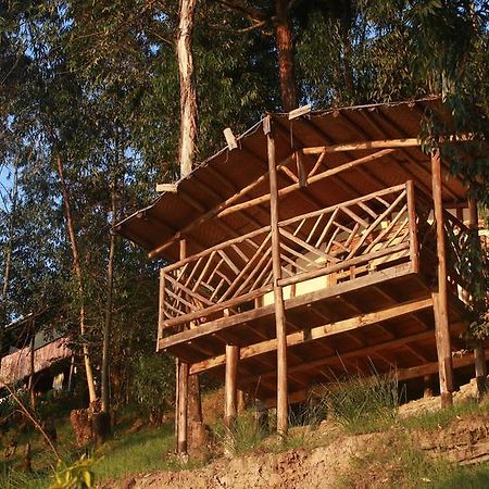 Amasiko Homestay Lake Bunyonyi Kabale المظهر الخارجي الصورة