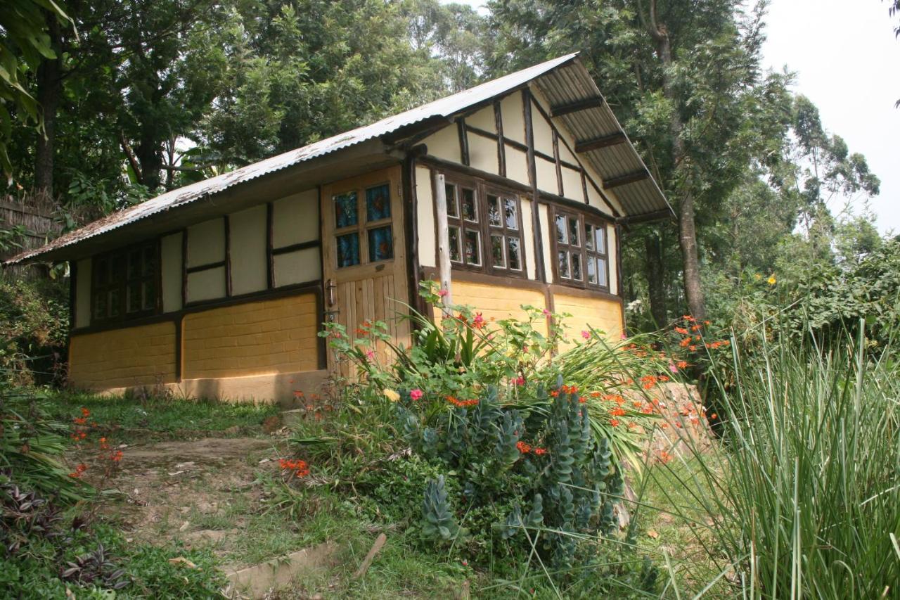 Amasiko Homestay Lake Bunyonyi Kabale المظهر الخارجي الصورة