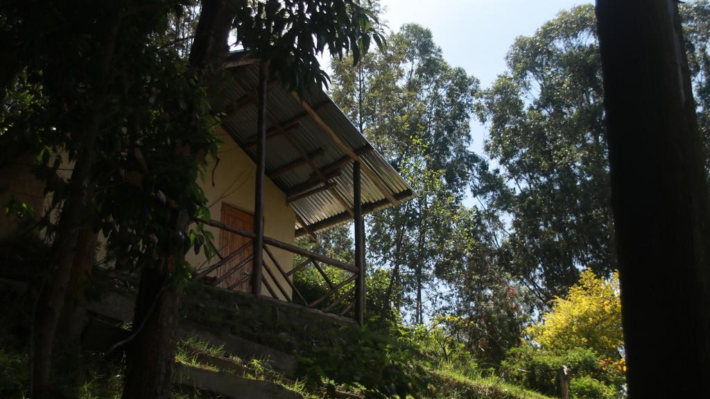 Amasiko Homestay Lake Bunyonyi Kabale المظهر الخارجي الصورة
