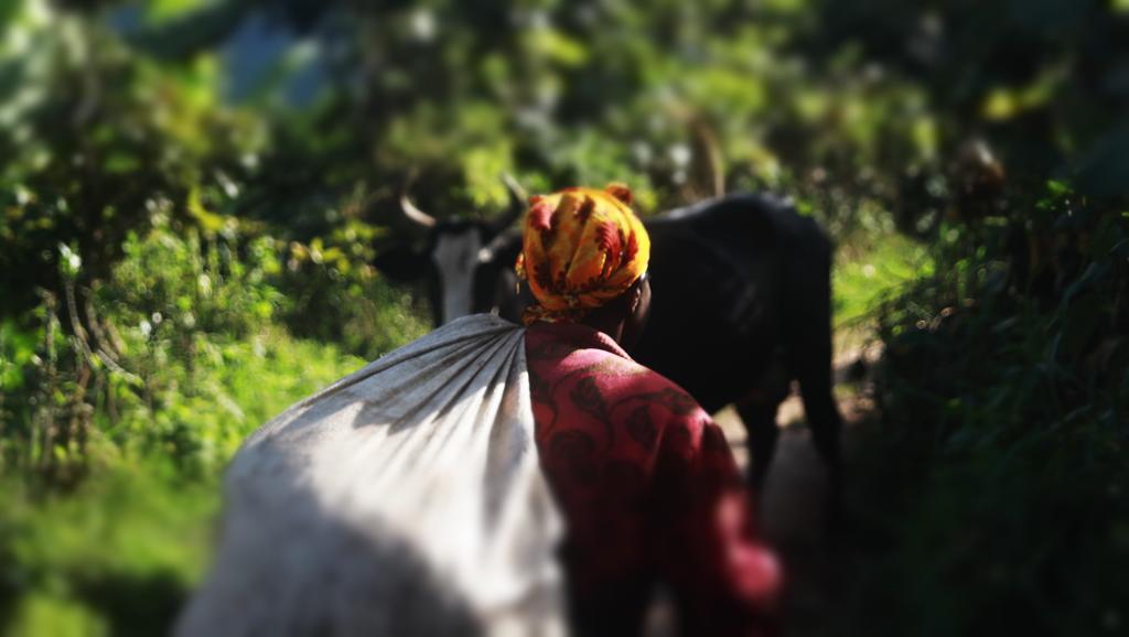 Amasiko Homestay Lake Bunyonyi Kabale المظهر الخارجي الصورة