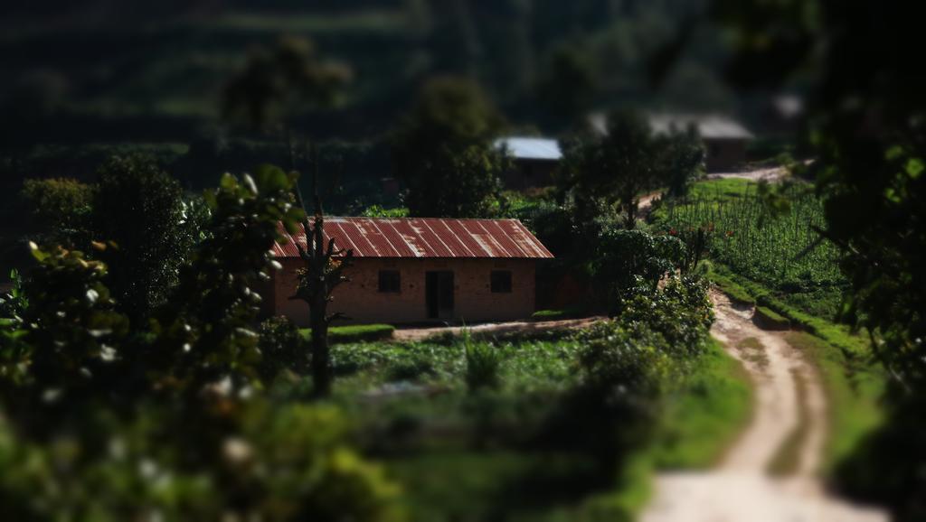 Amasiko Homestay Lake Bunyonyi Kabale المظهر الخارجي الصورة